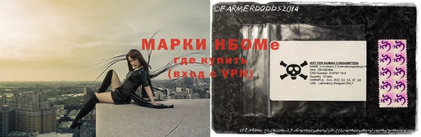 дмт Баксан