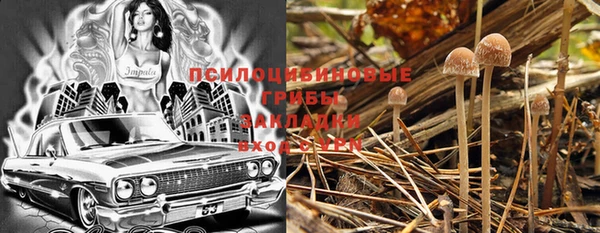 дмт Баксан